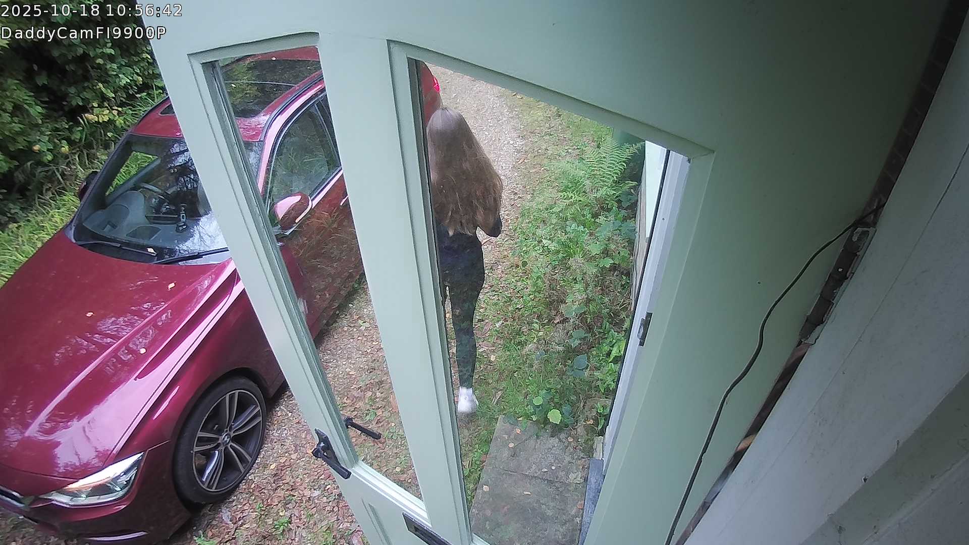 DaddyCam image:2046 DaddyCam image:2046