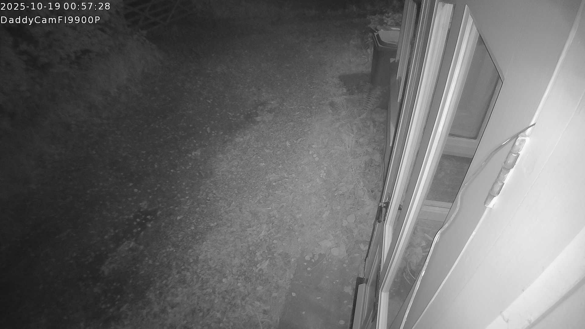 DaddyCam image:2074 DaddyCam image:2074