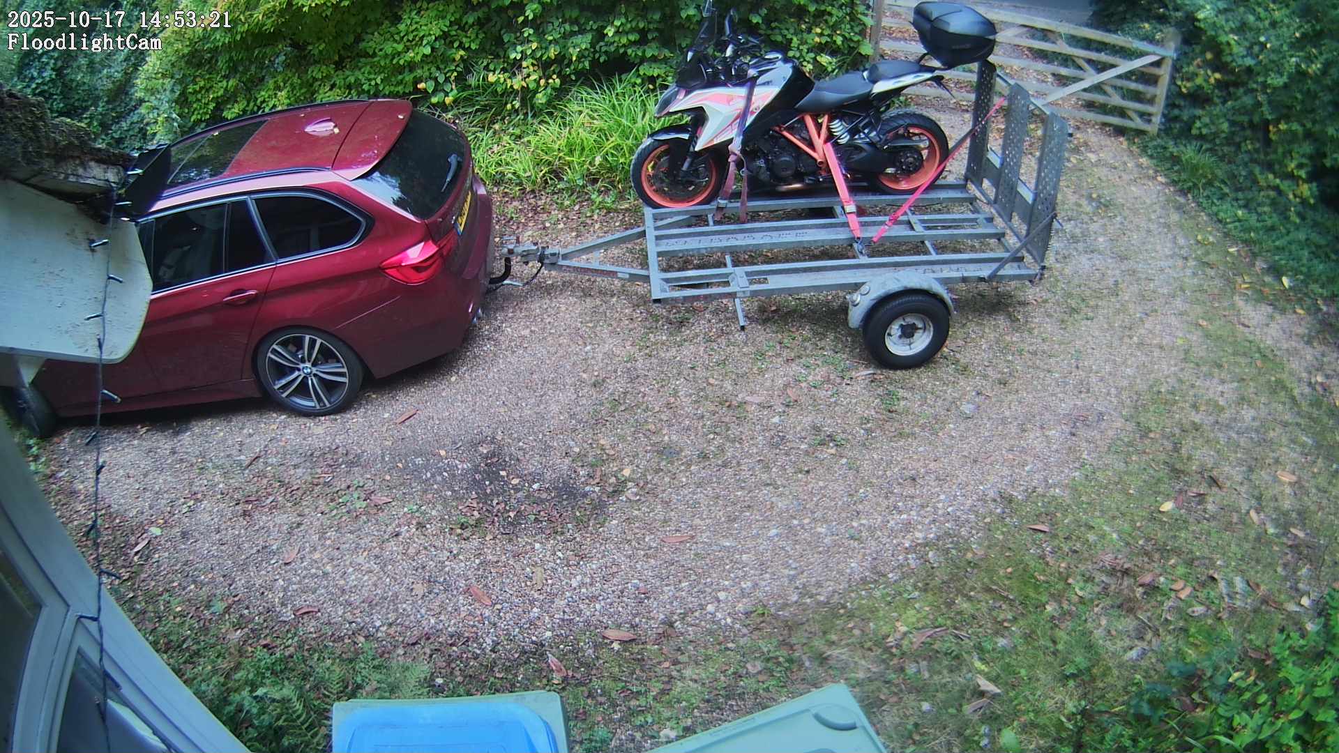 DaddyCam image:1899 DaddyCam image:1899