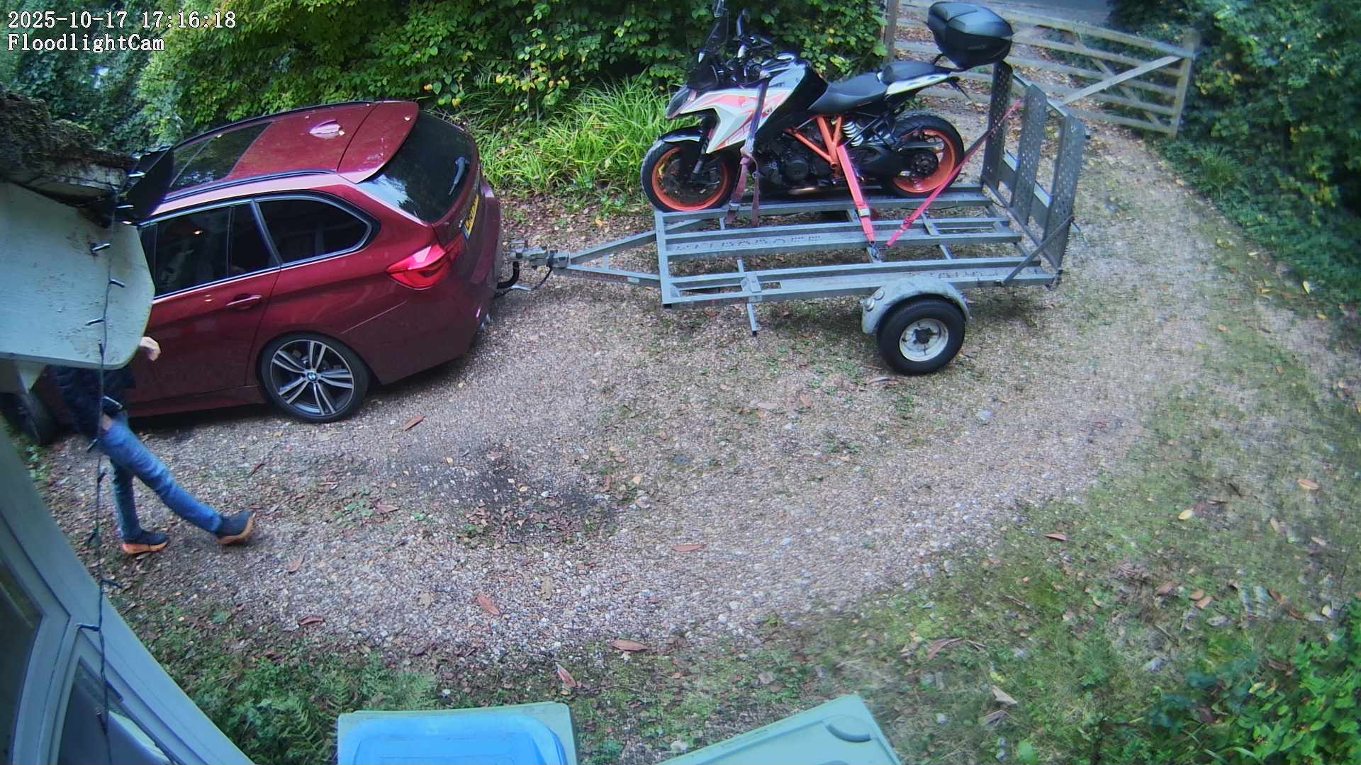 DaddyCam image:1901 DaddyCam image:1901