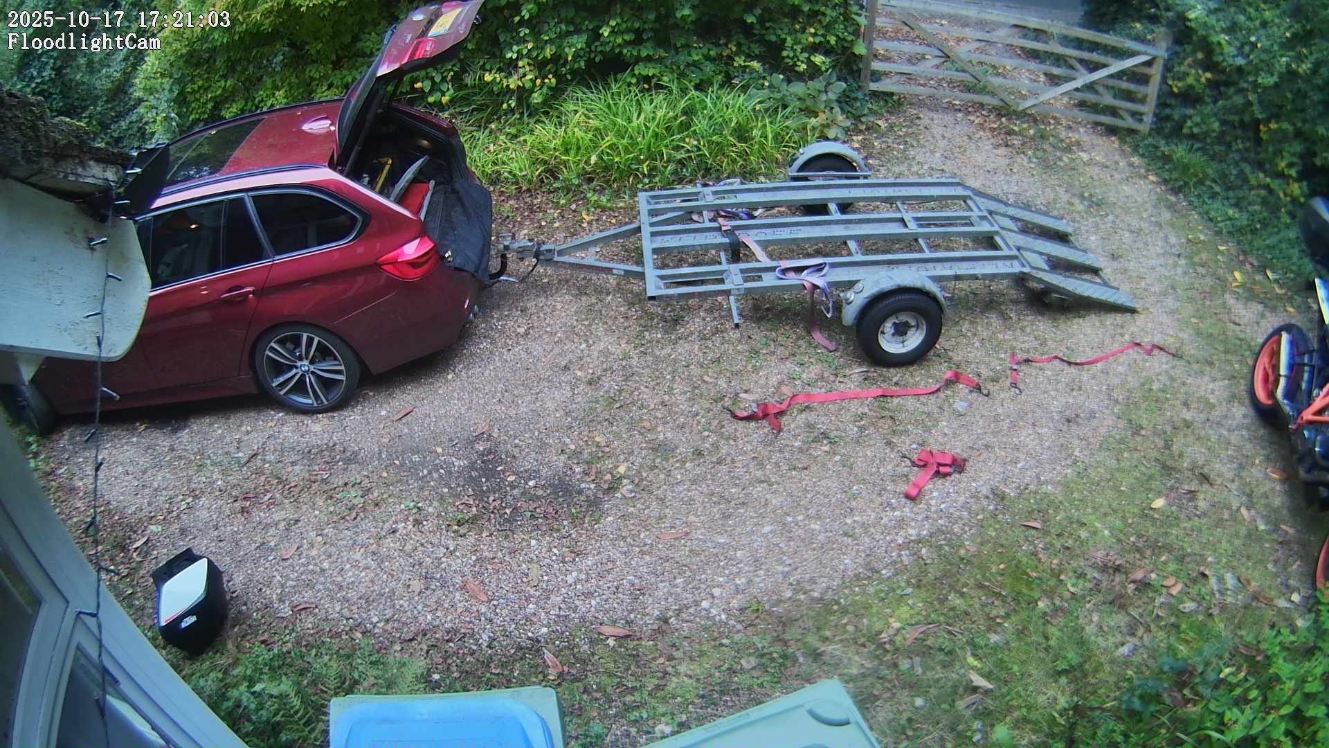 DaddyCam image:1917 DaddyCam image:1917