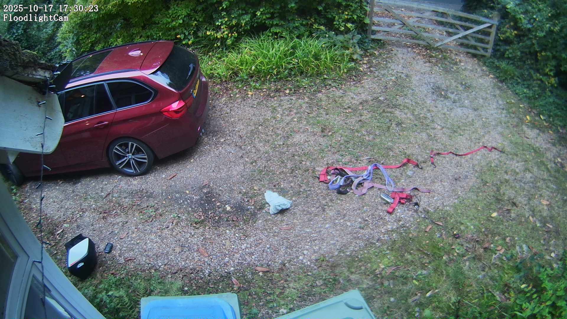 DaddyCam image:1955 DaddyCam image:1955