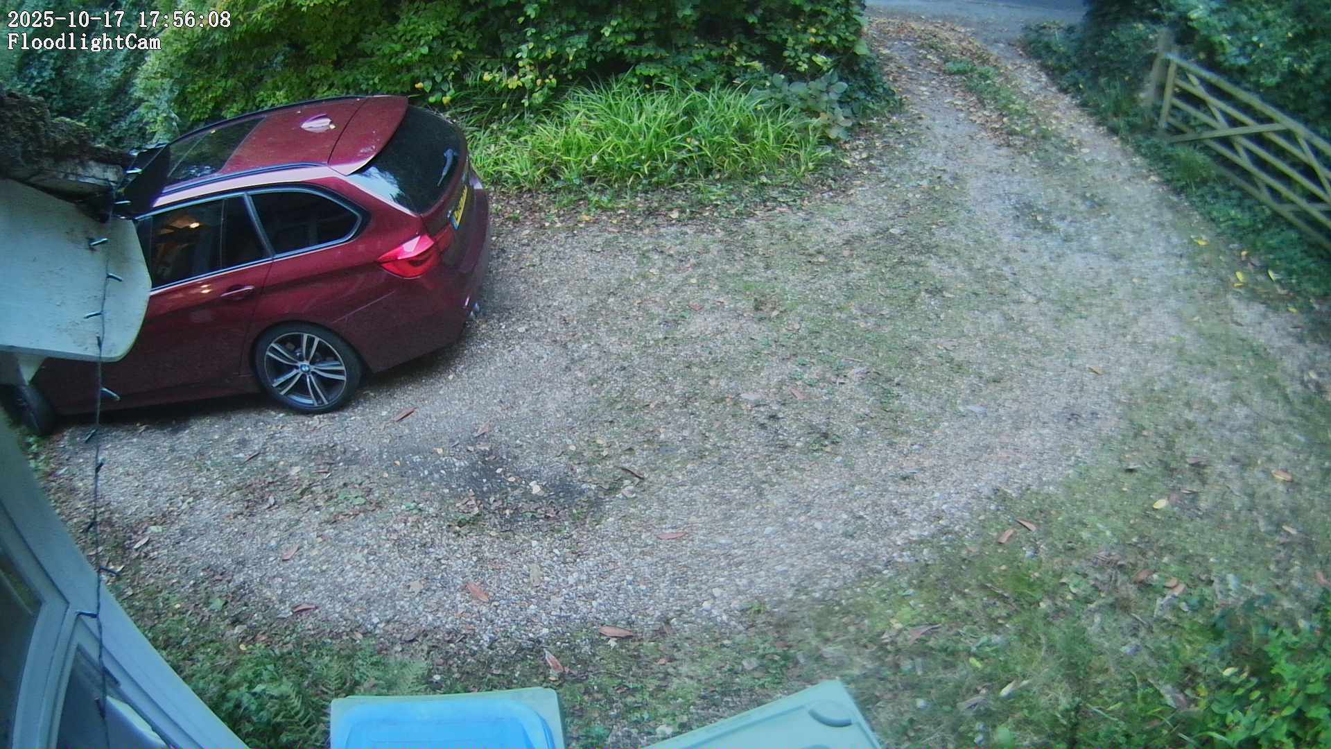 DaddyCam image:1999 DaddyCam image:1999