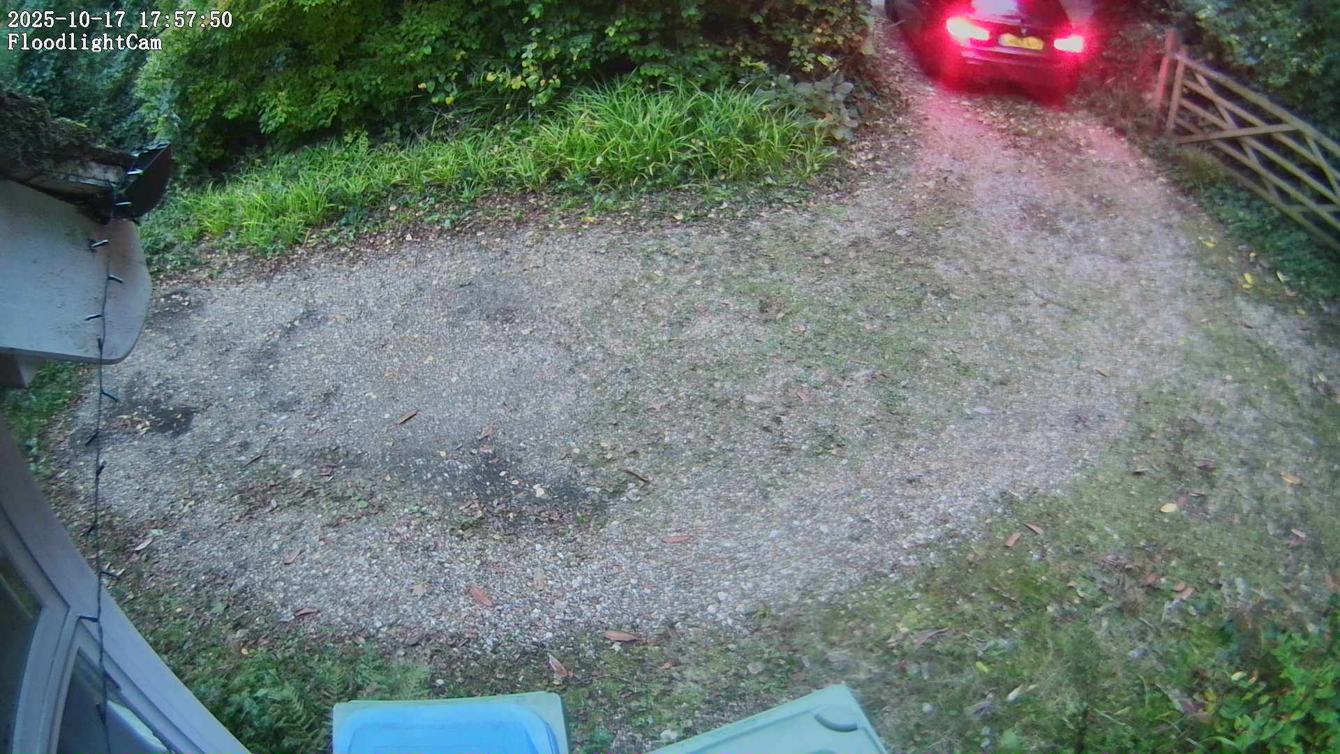 DaddyCam image:2010 DaddyCam image:2010