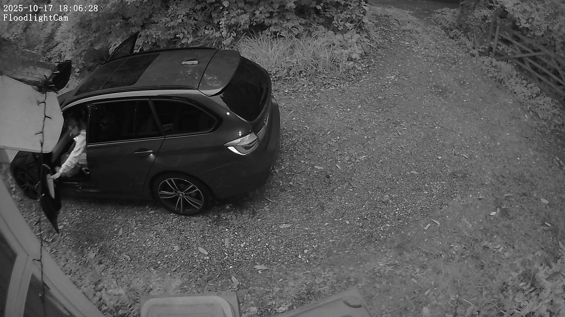 DaddyCam image:2016 DaddyCam image:2016