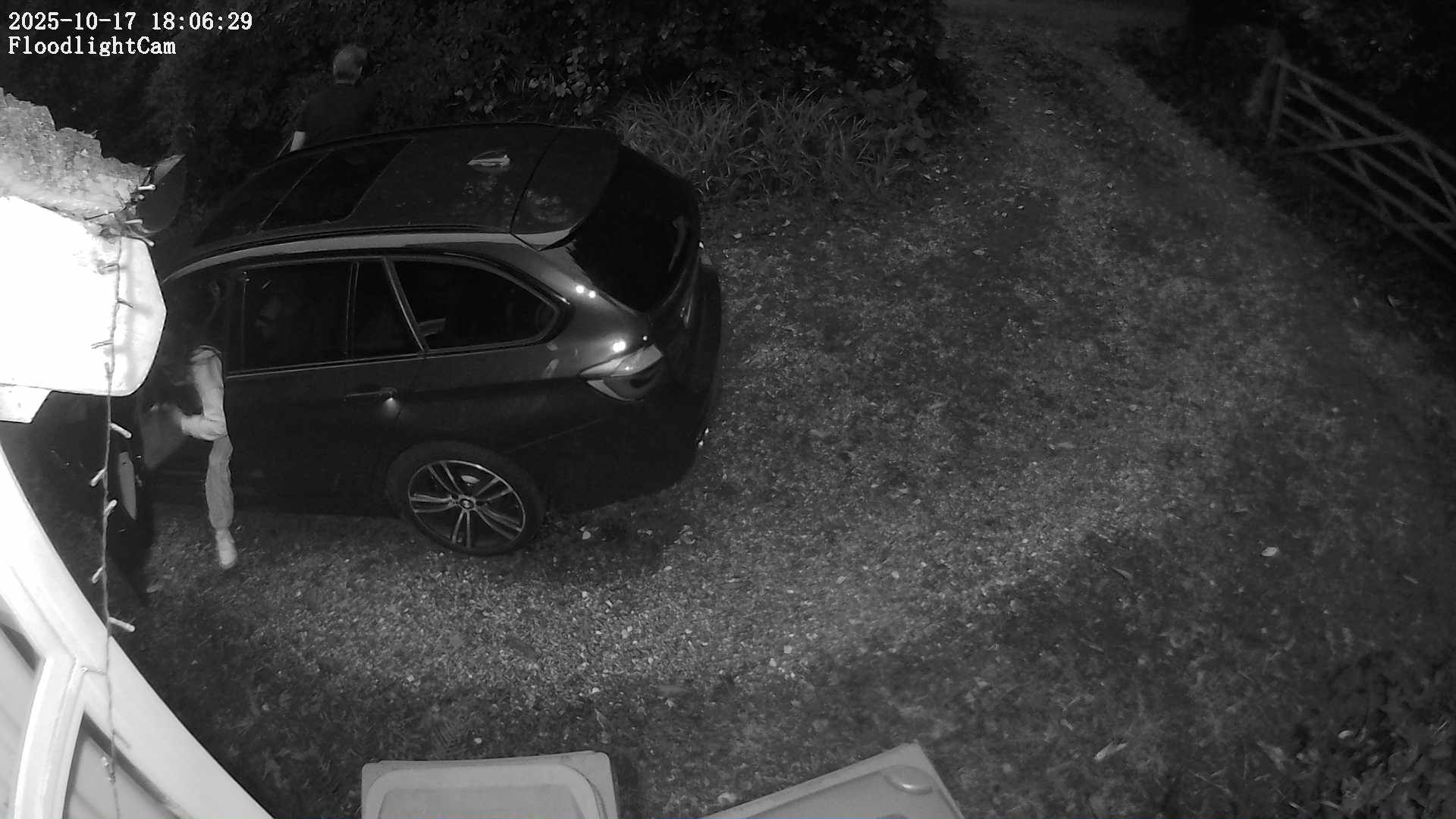 DaddyCam image:2017 DaddyCam image:2017