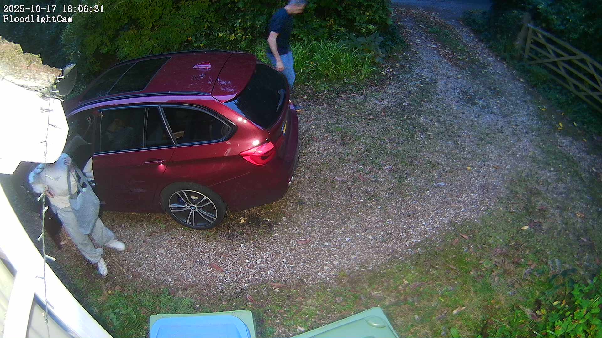 DaddyCam image:2020 DaddyCam image:2020