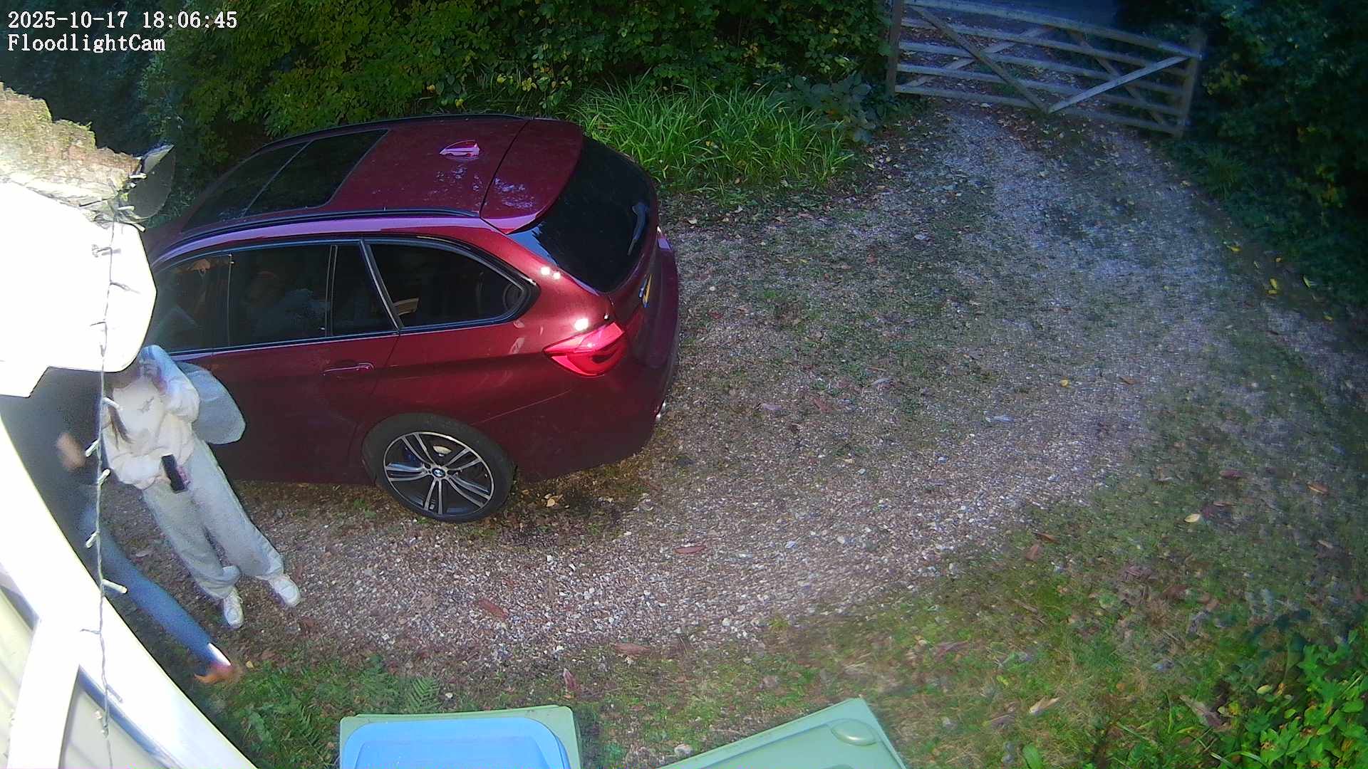 DaddyCam image:2028 DaddyCam image:2028