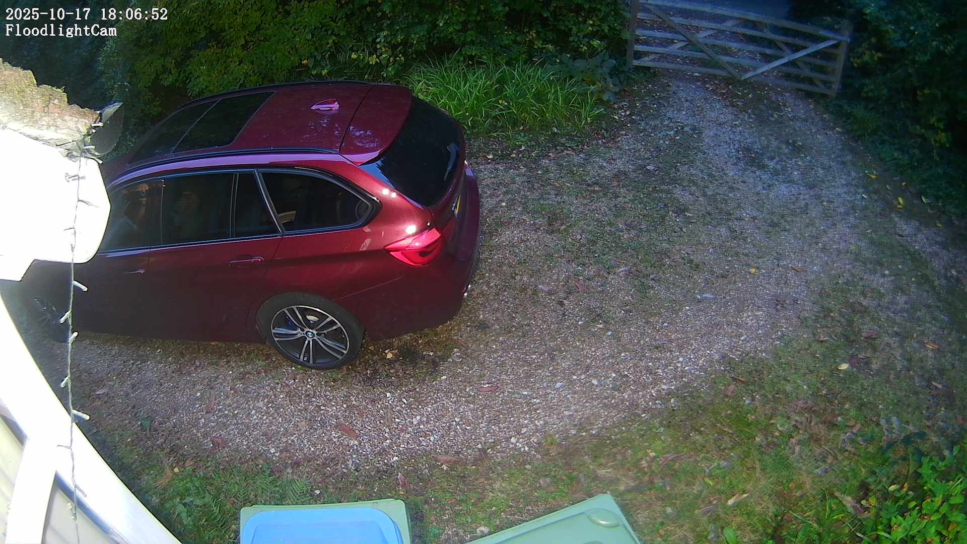 DaddyCam image:2033 DaddyCam image:2033