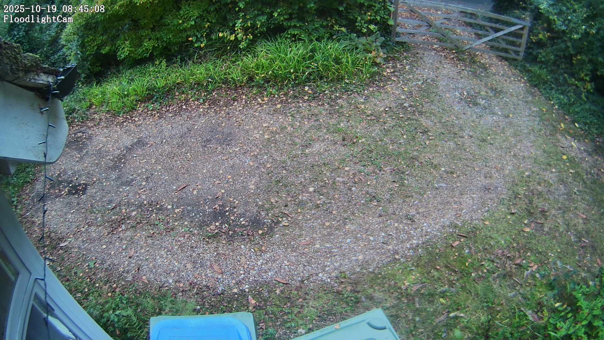 DaddyCam image:2090 DaddyCam image:2090