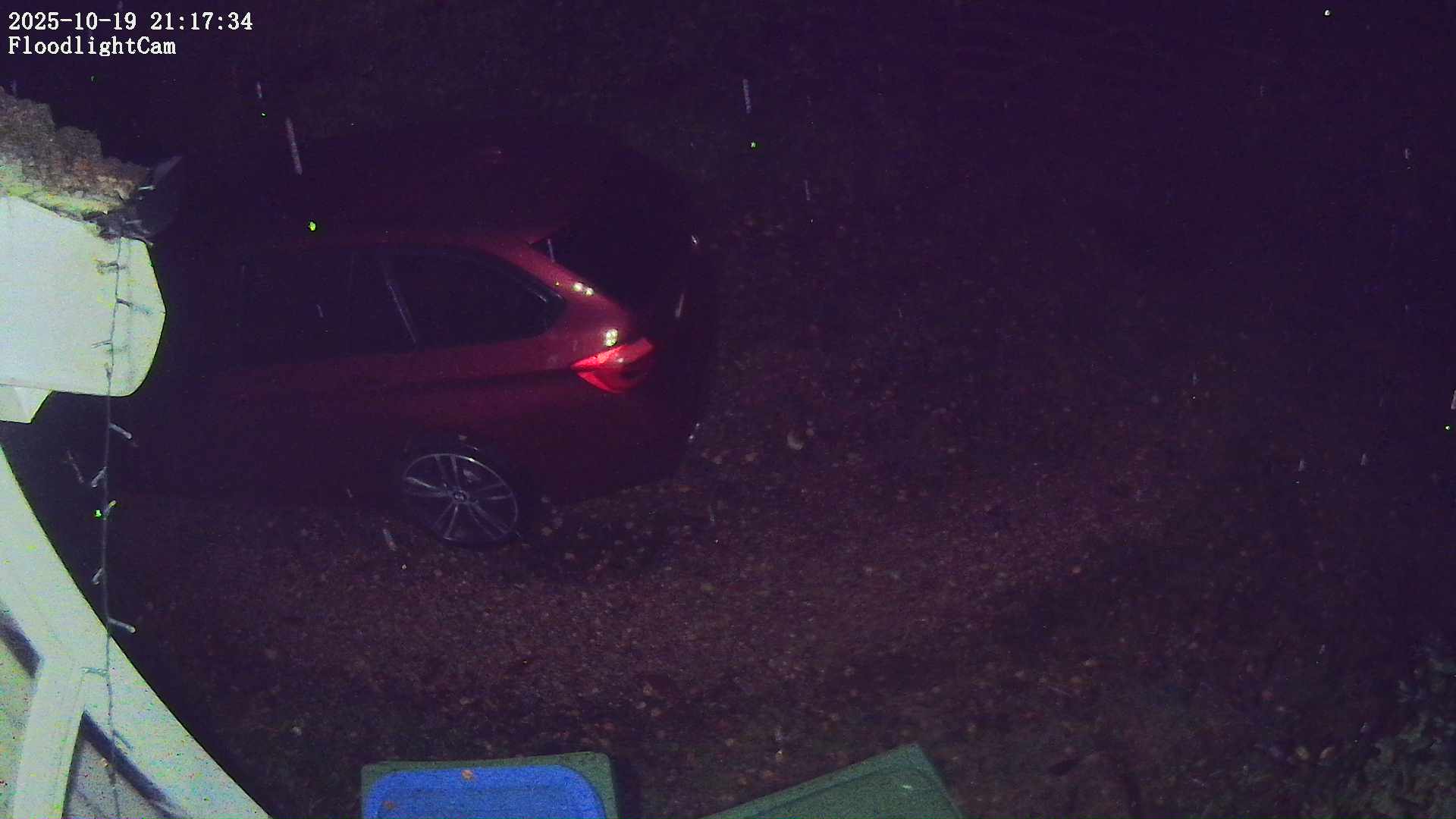 DaddyCam image:2124 DaddyCam image:2124